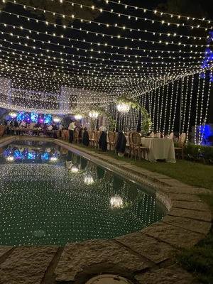 Entreluceschile — Flores y Decoración en Curacaví — Imagen 1
