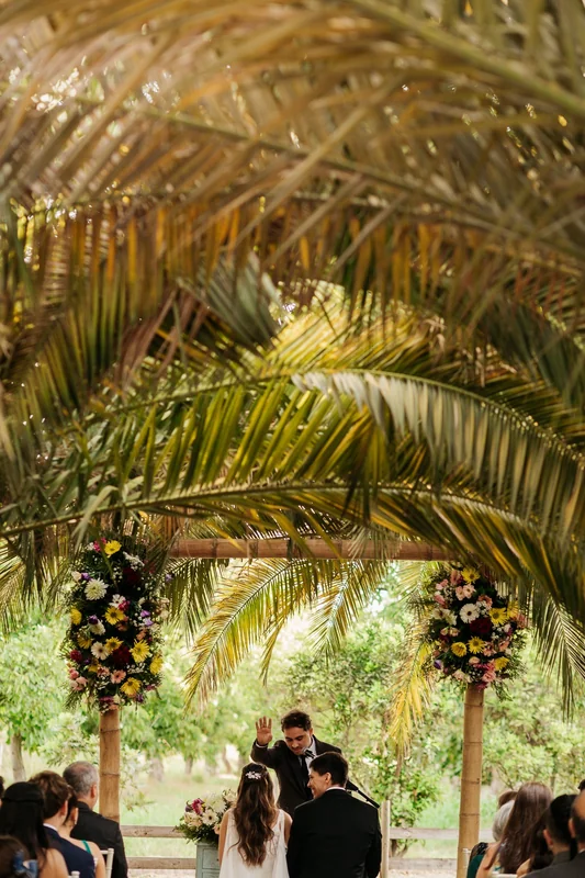 SVA Fotografia