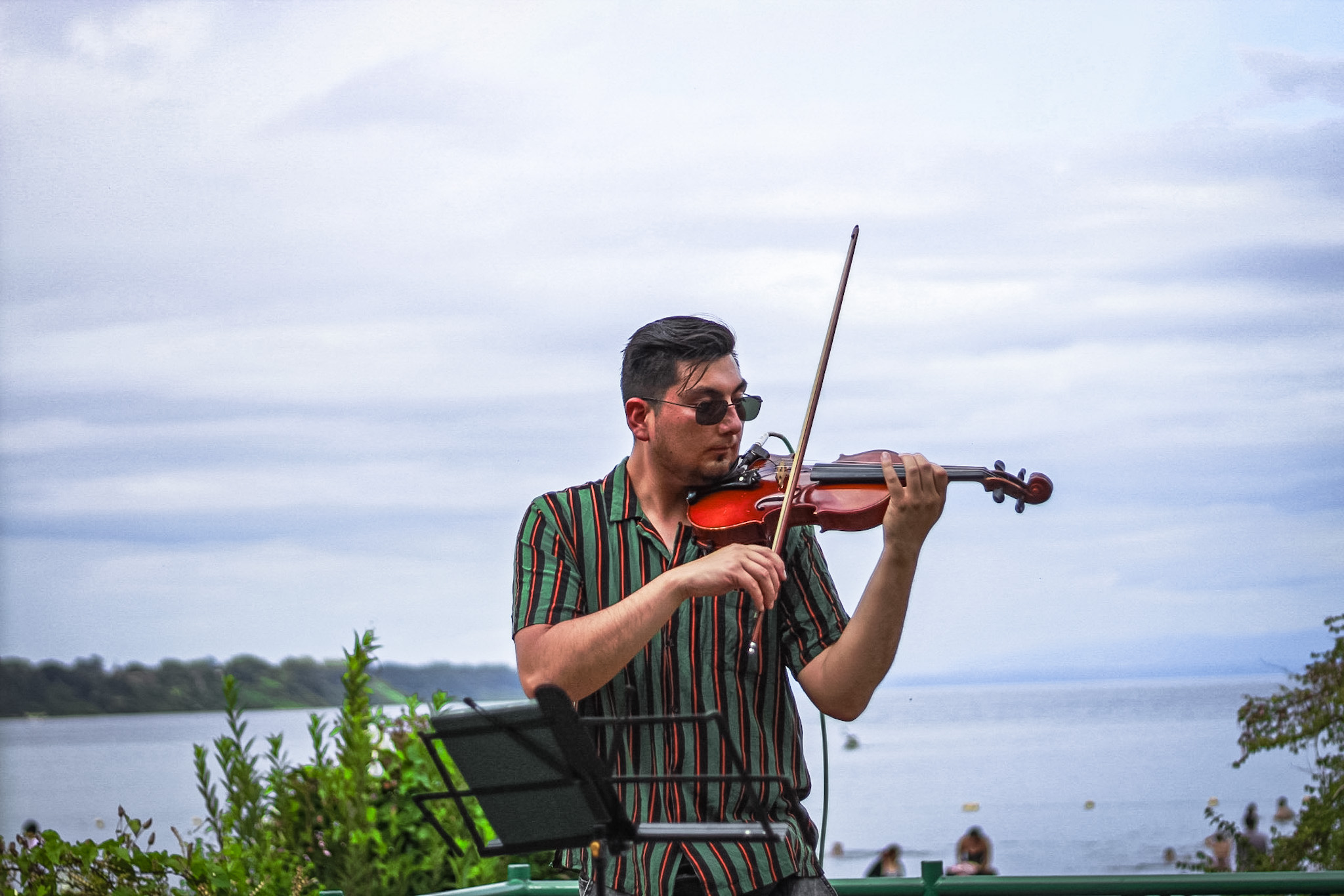 Laloviolin - Imagen 3