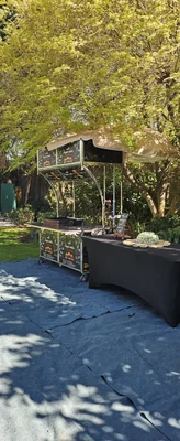 Linguini carrito gourmet — Food Truck — Imagen 1