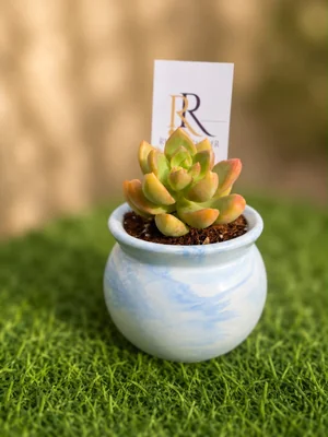 RODA EVENTOS Y DECORACIÓN SPA — Souvenirs y Recuerdos en Providencia — Imagen 1