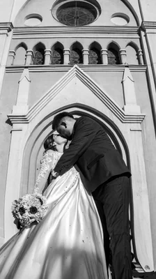 Manuel Palacios Jorquera - Imagen 1