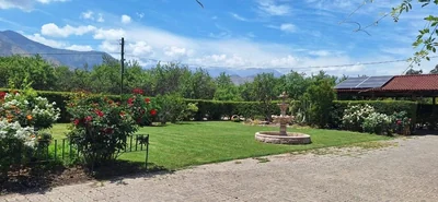 Raíces y Frutos Spa - Imagen 1