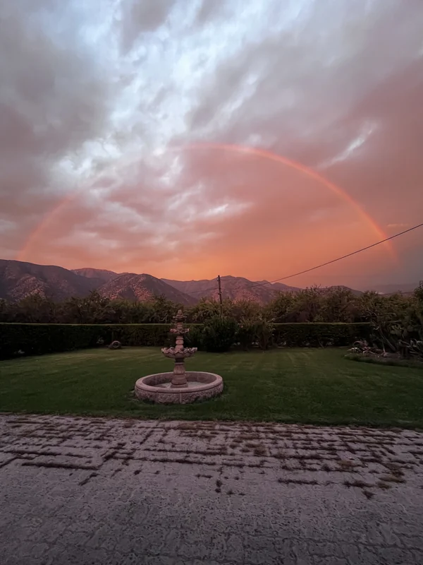 Raíces y Frutos - Centro de Eventos y Hospedaje Rural