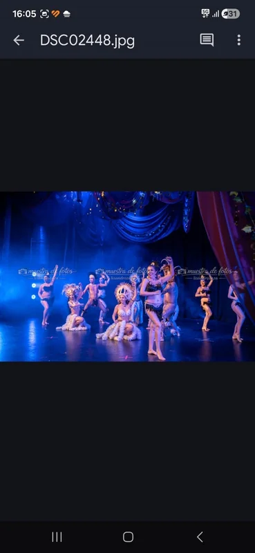 Show polinesio