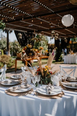 Colomba Producciones - Imagen 1