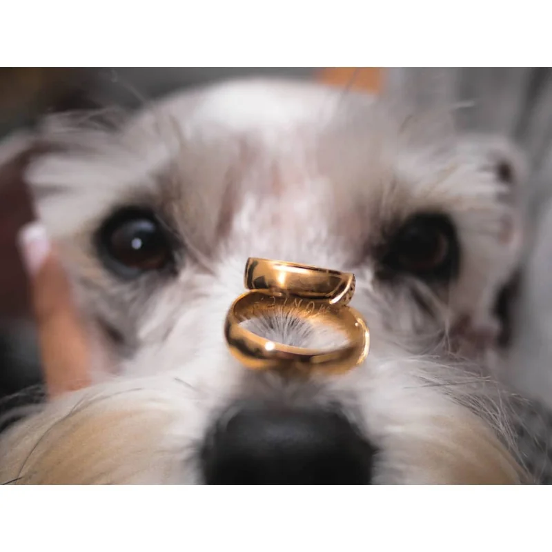 Cristian Campiño Fotografia