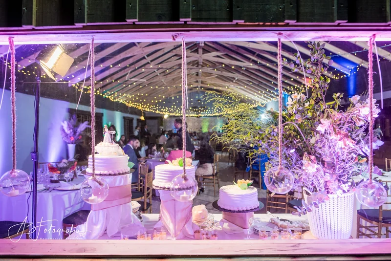 Bodas dentro y fuera de la región del bio bio y ñuble