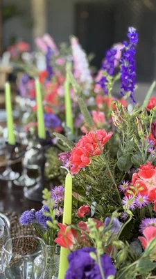 María Elena Ward - Imagen 1