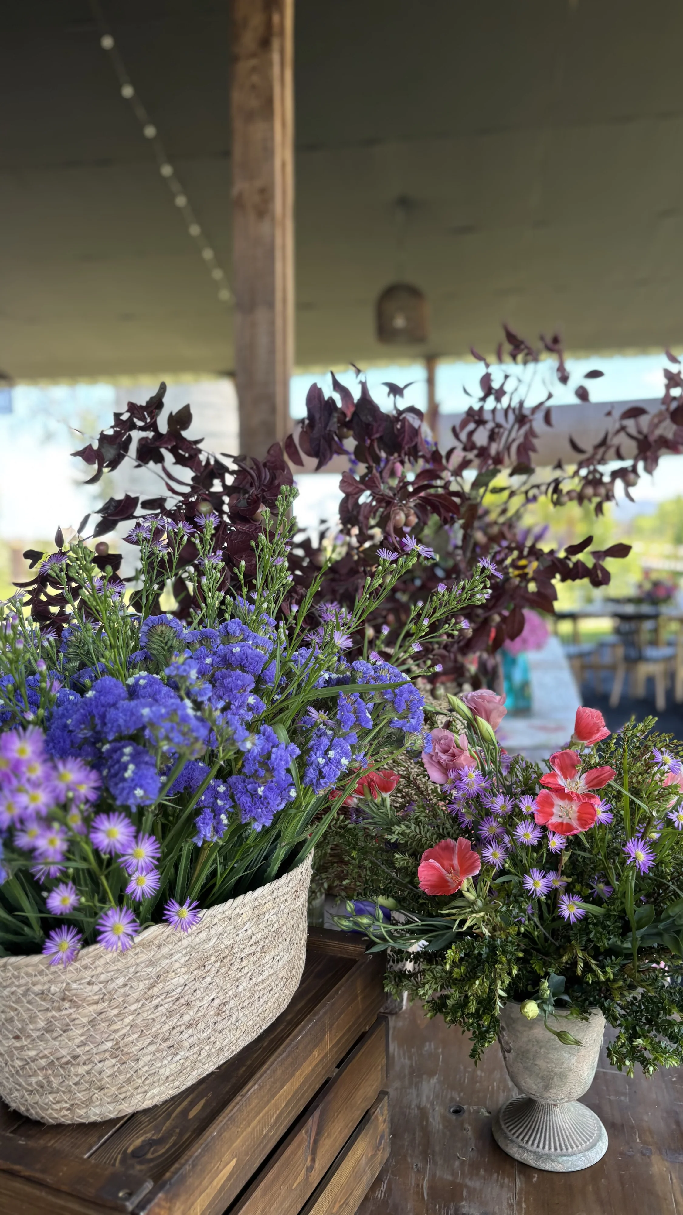 María Elena Ward - Imagen 8