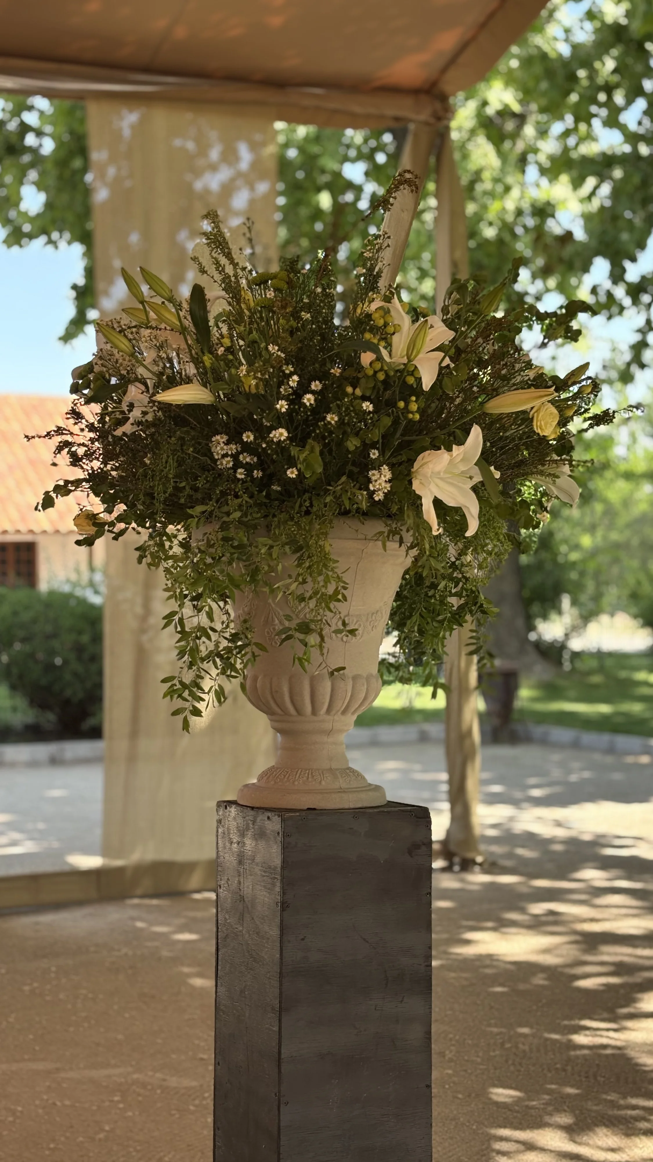 María Elena Ward - Imagen 10