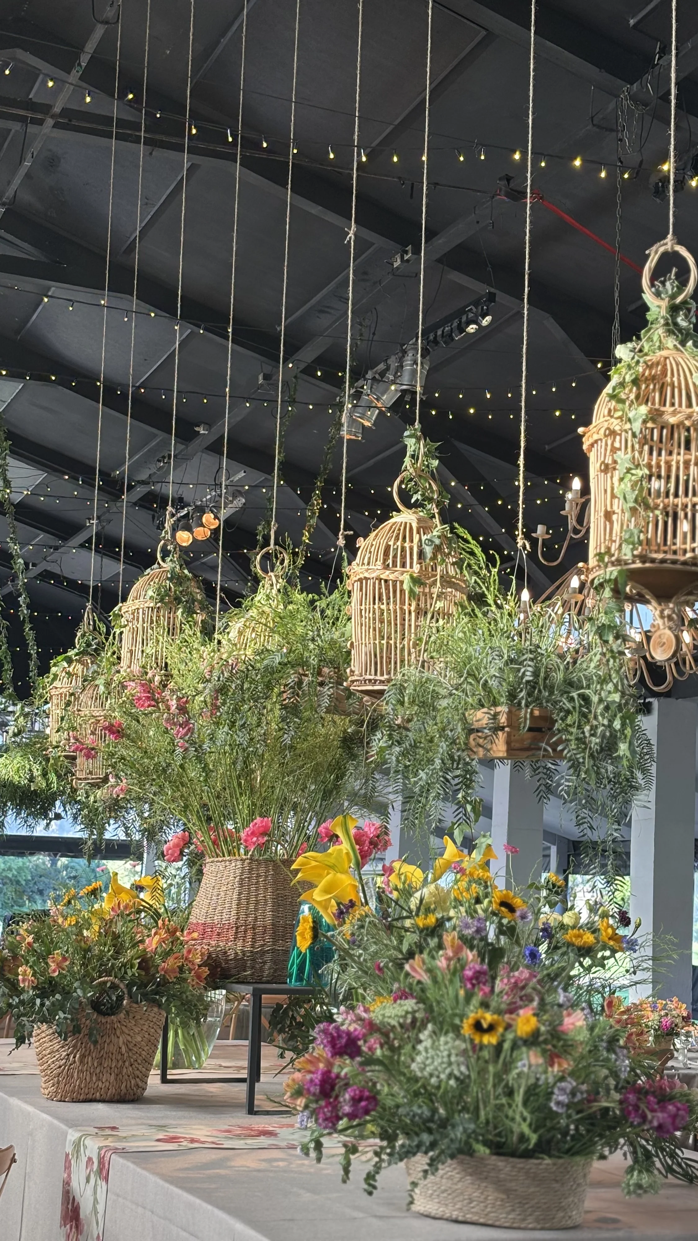 María Elena Ward - Imagen 13