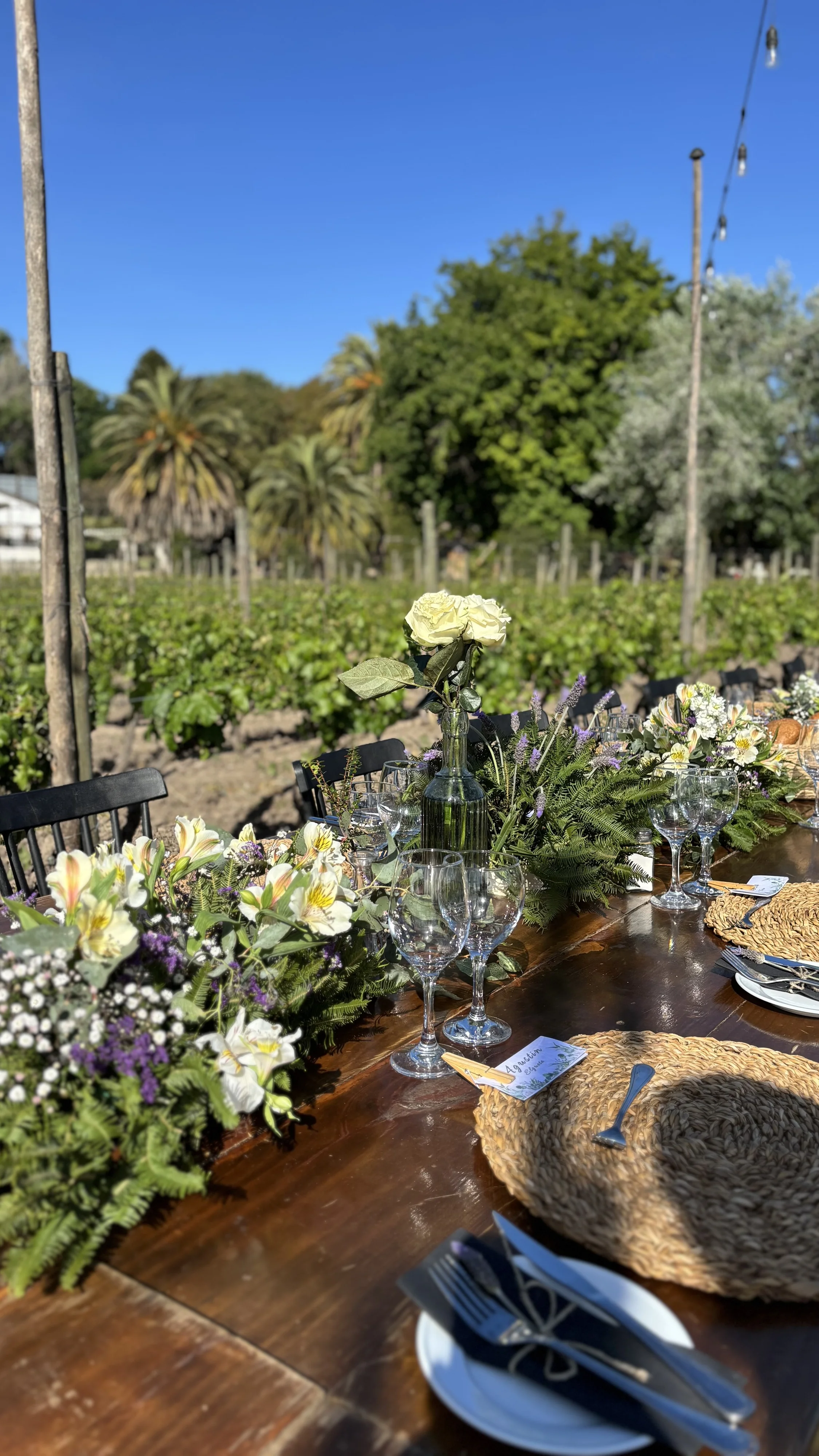 María Elena Ward - Imagen 15