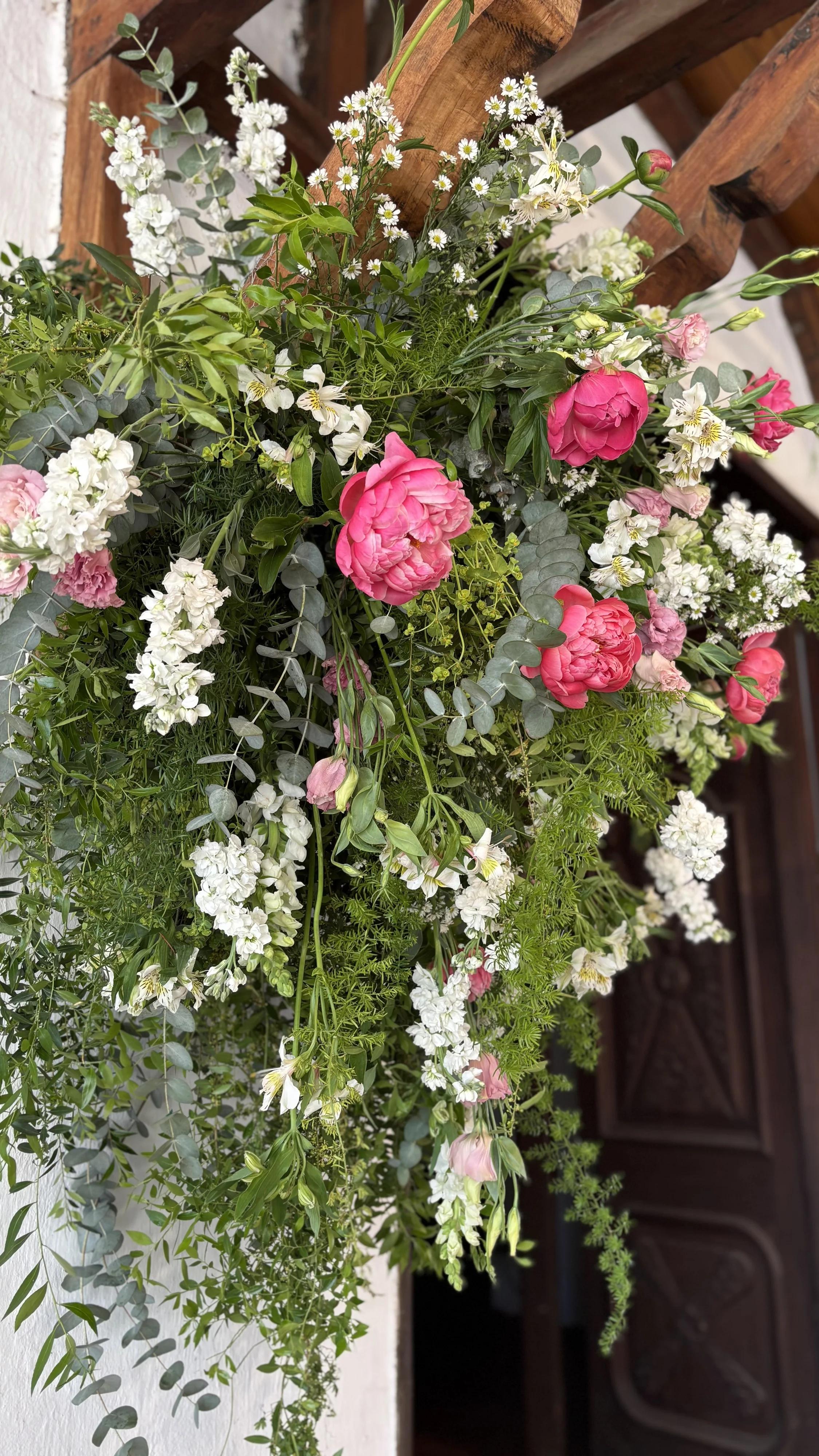 María Elena Ward - Imagen 17