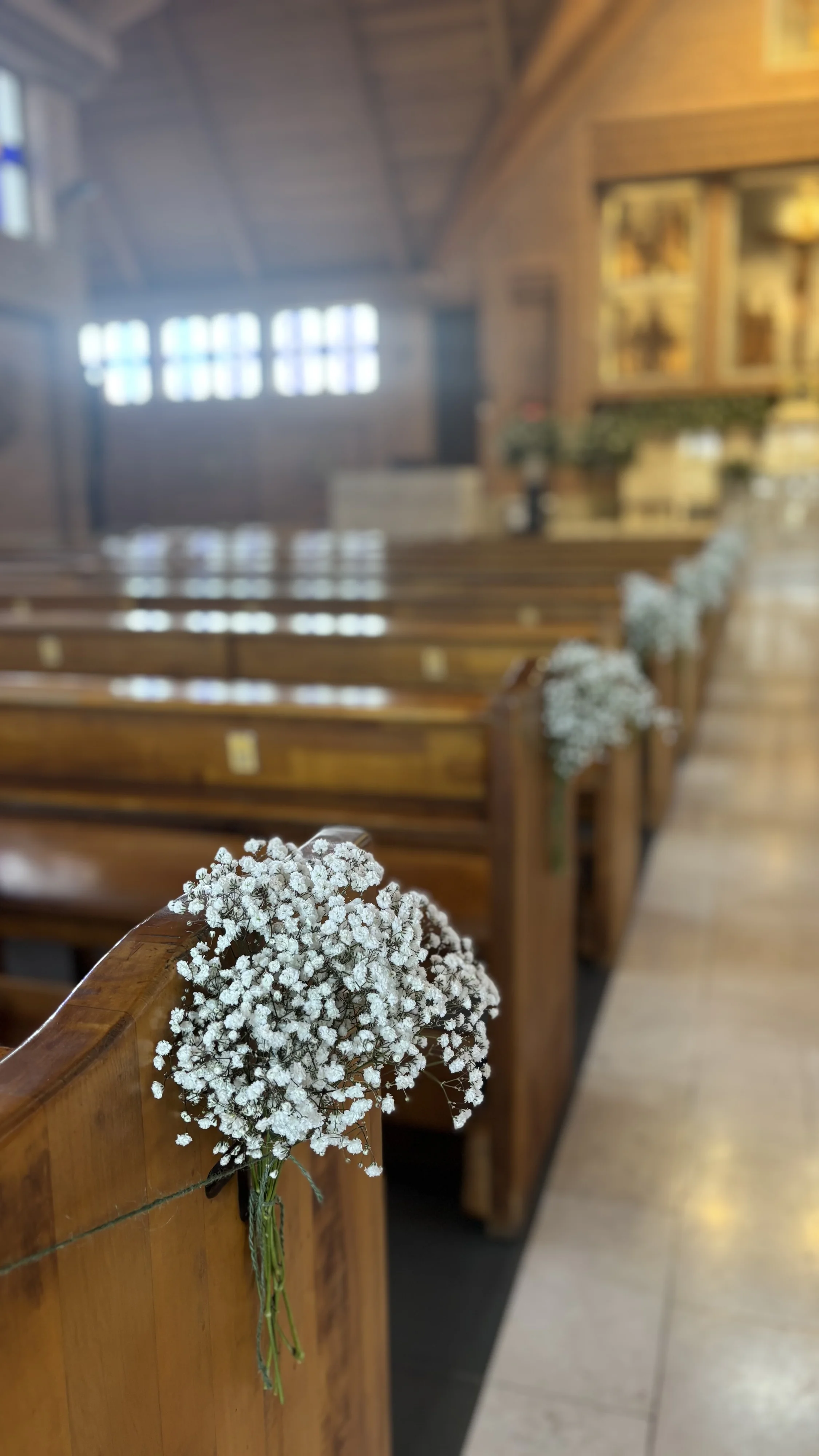 María Elena Ward - Imagen 20