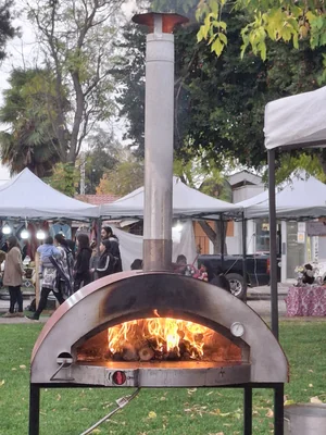 Servicios Gastronomícos Parodi Spa — Food Truck — Imagen 1