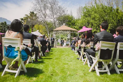 Flor del Manzano - Imagen 1