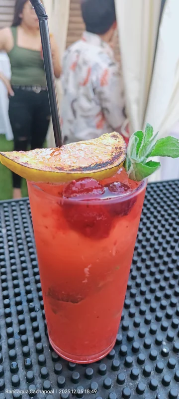 Drinks Matita Kings