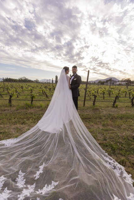 Entre luz y enfoque - Imagen 7