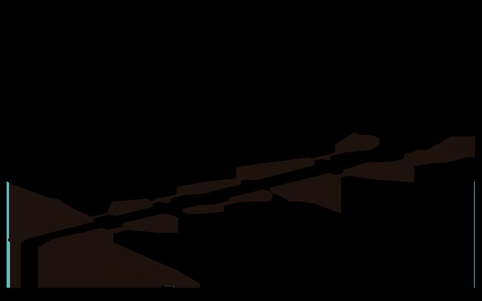 Gonzalo Emmanuel Cortés Rojas