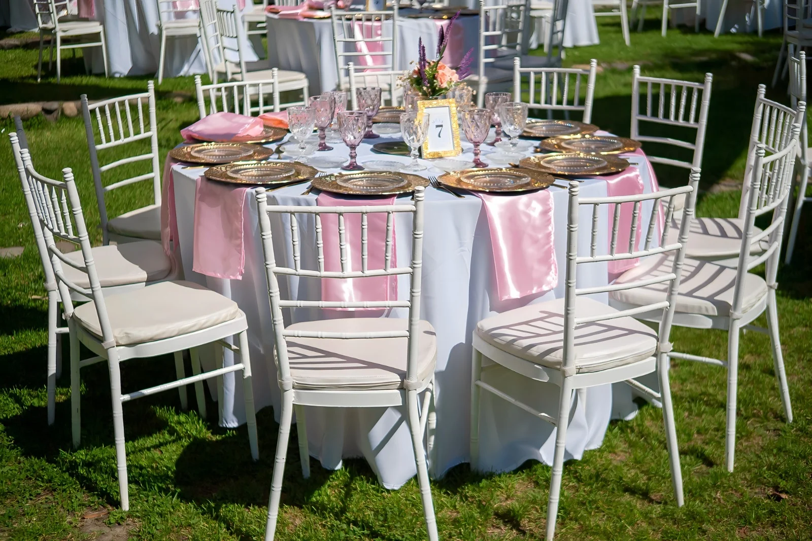 ALTUS LA MATRIARCA - Imagen 5