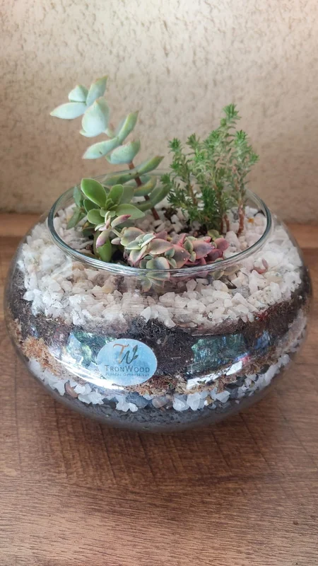 Decoración Verde
