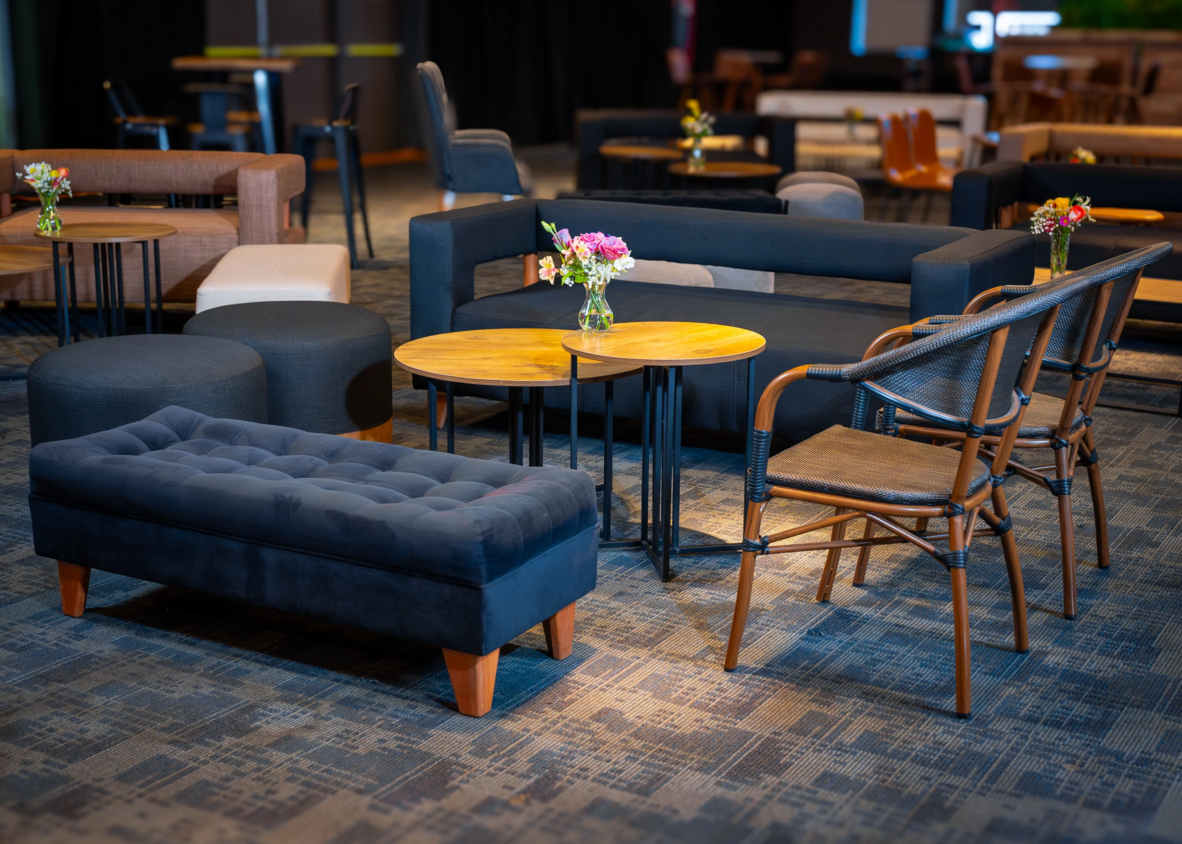 Meraki Deco Rental - Imagen 2