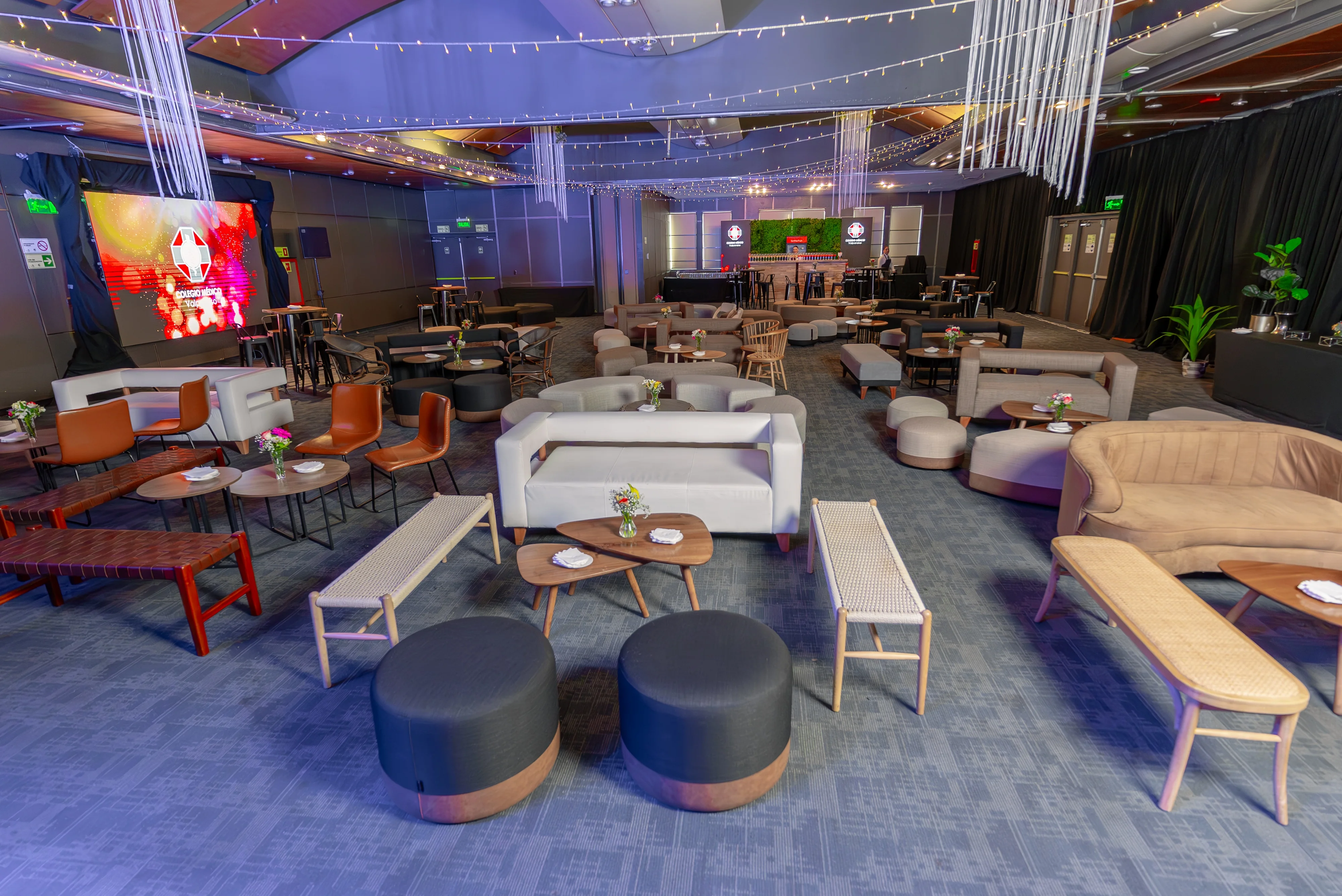 Meraki Deco Rental - Imagen 5