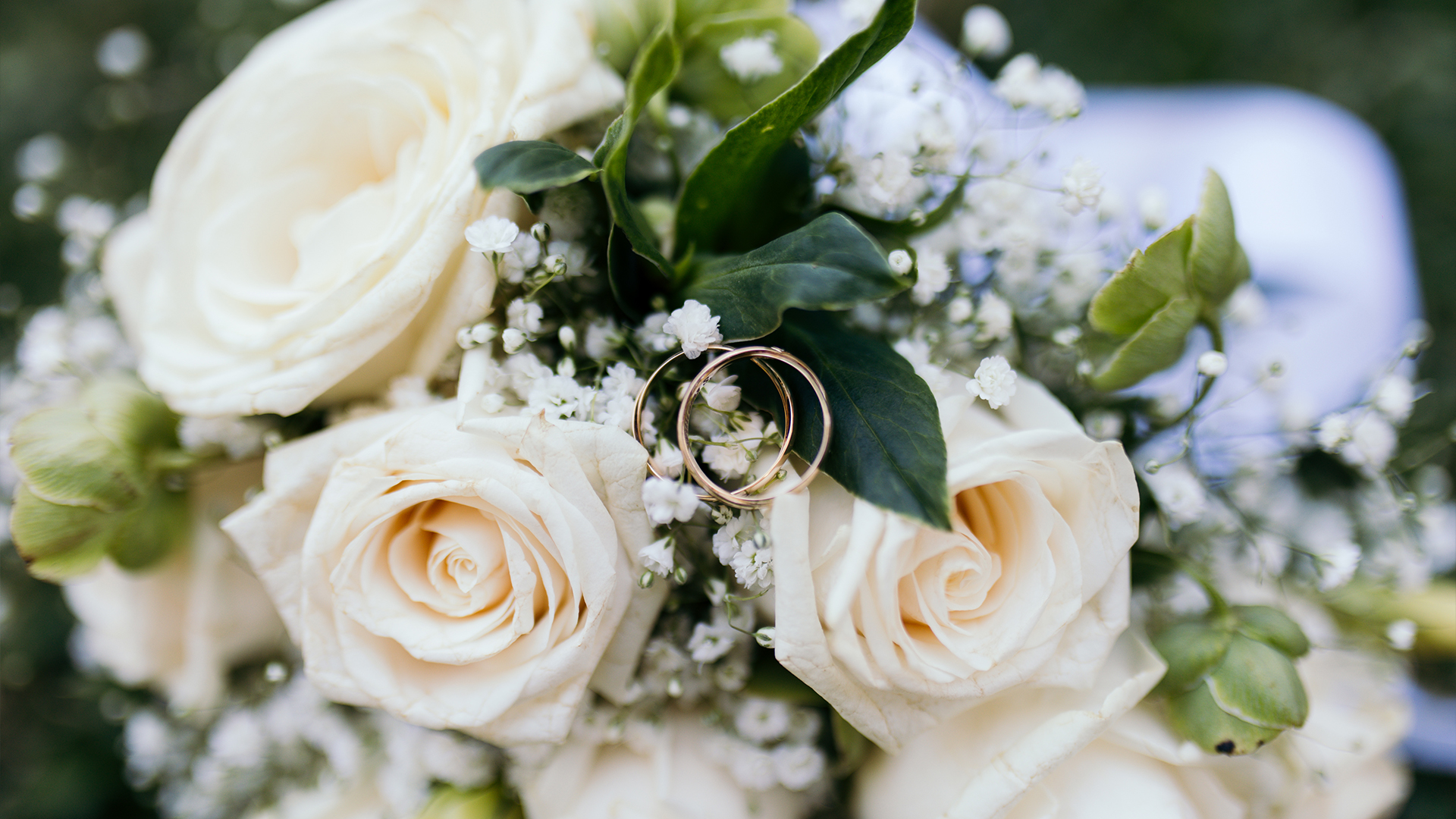 Bodafilms - Fotografía & video - Imagen 4