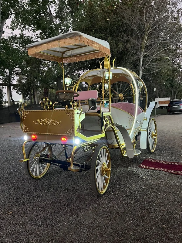 Carruajes vip