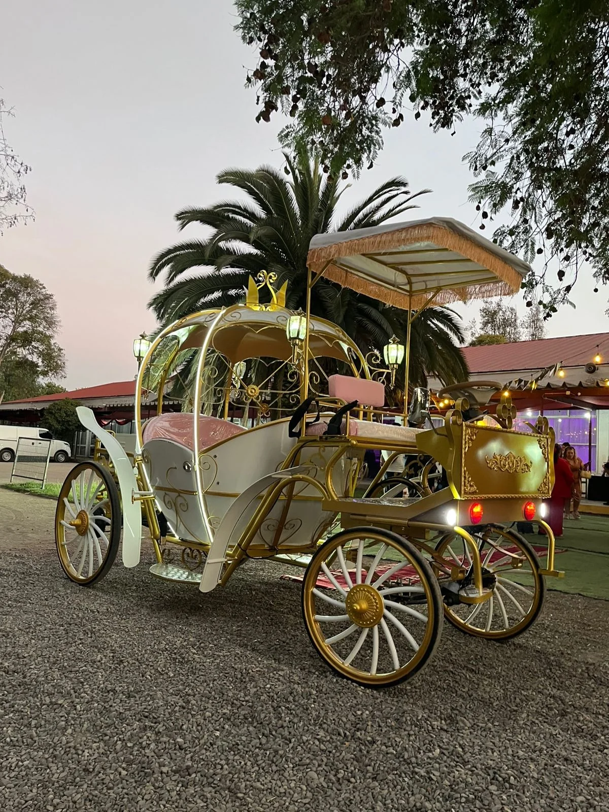 Carruajes vip - Imagen 3