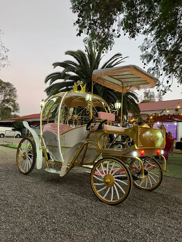 Carruajes vip