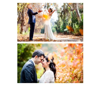 rodrigo maulén estudio - Imagen 1