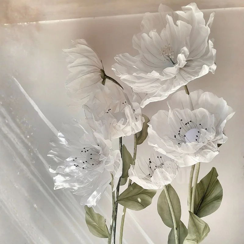 Mágika producciones