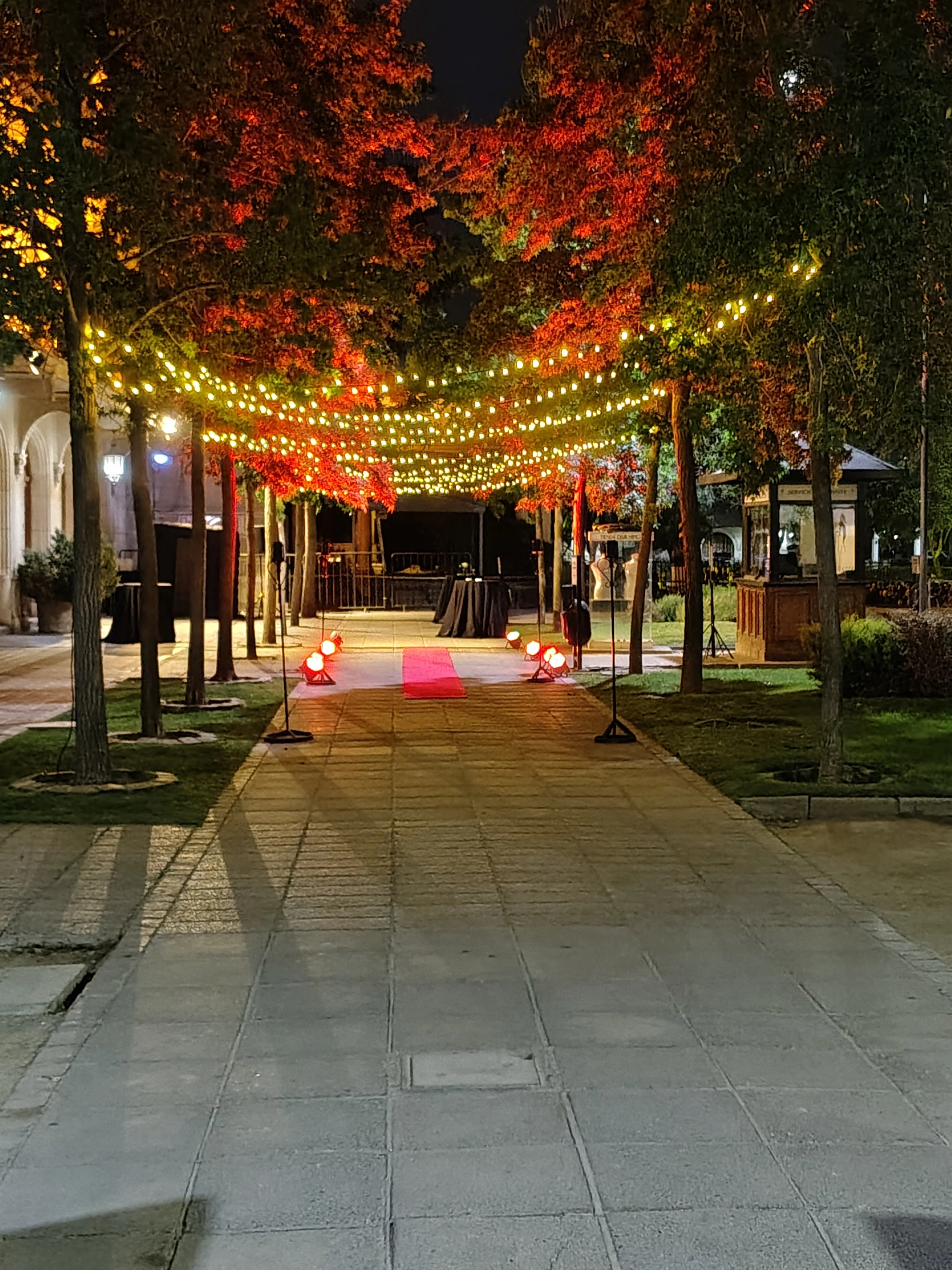 Nouvelle Cuisine - Imagen 13