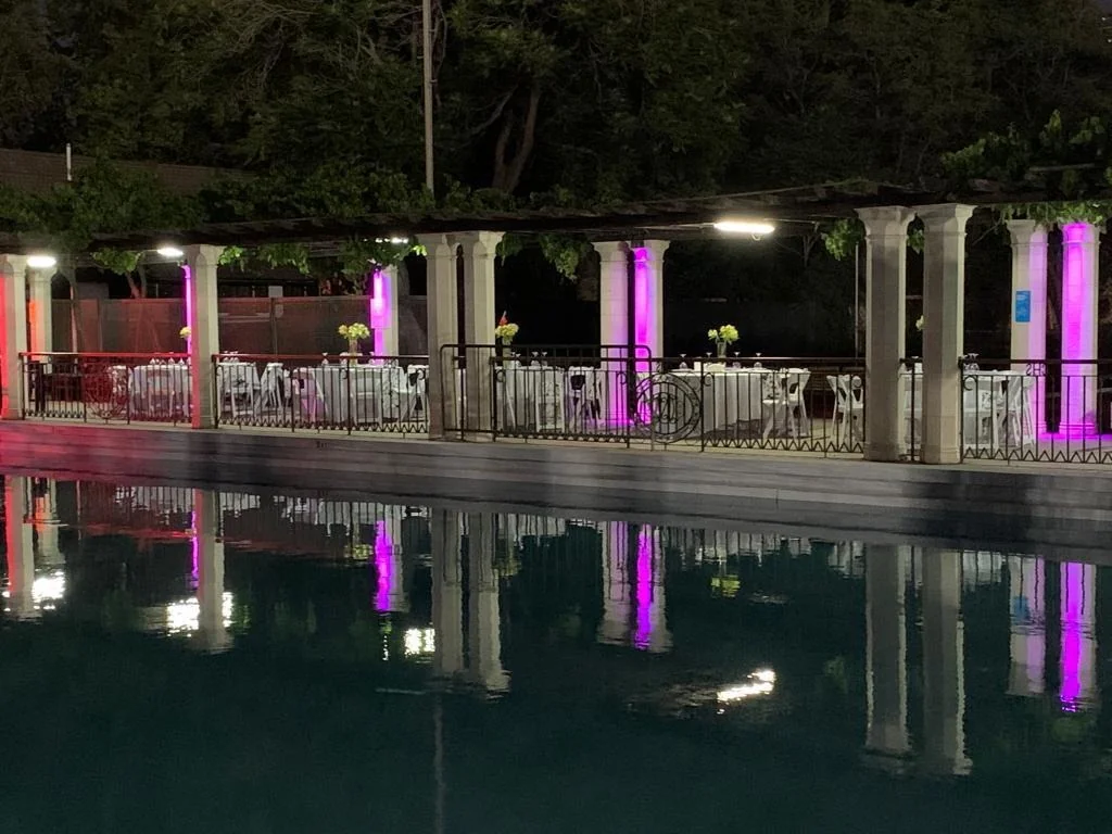 Nouvelle Cuisine - Imagen 15