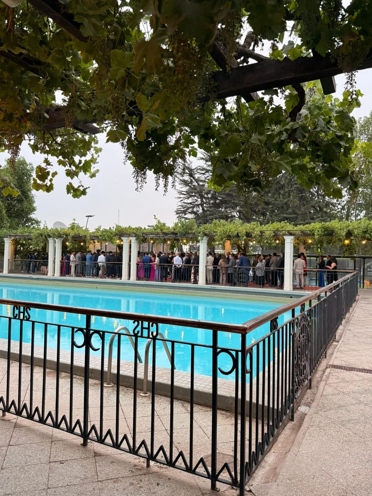 Nouvelle Cuisine - Imagen 17