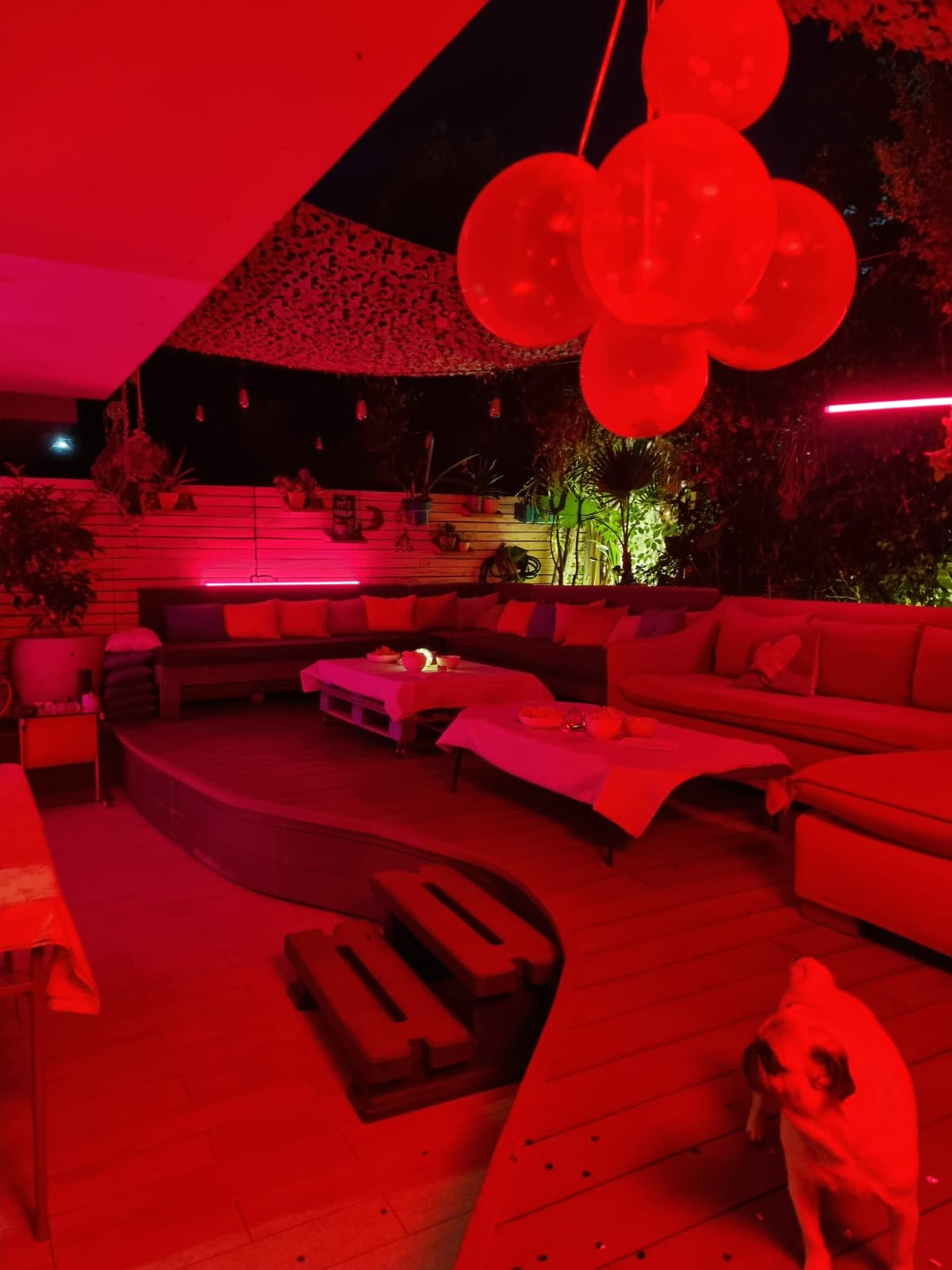 ColorParty.cl - Imagen 5