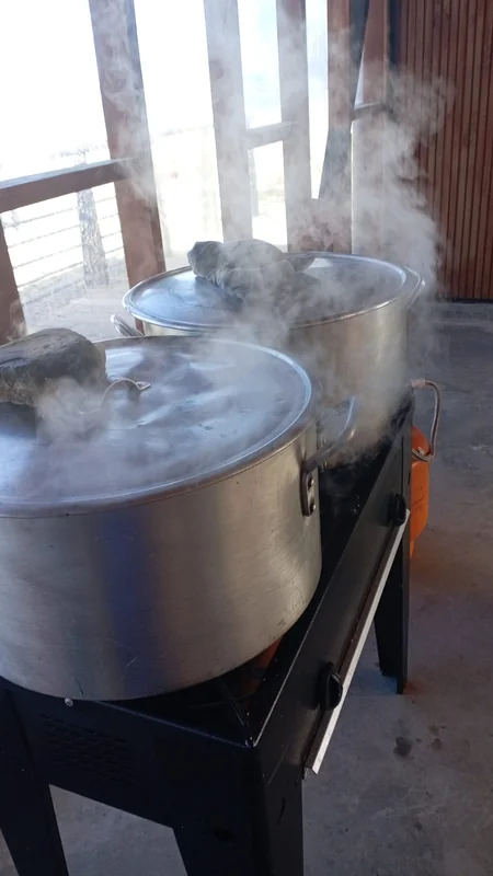 Gastronomía Patagonia