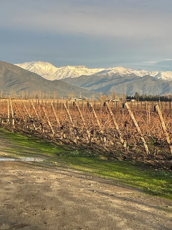 Vina Butron Budinich