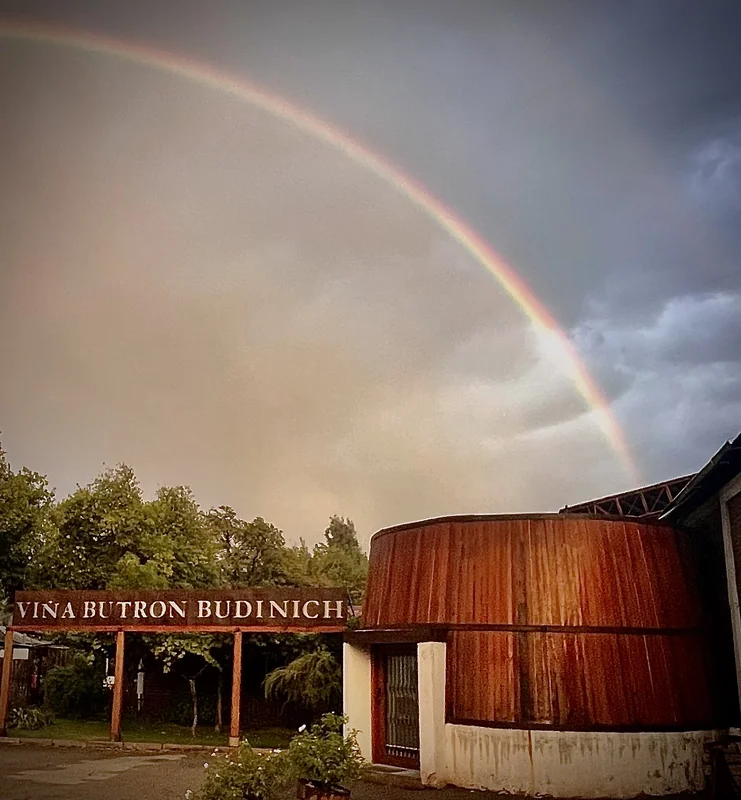 Vina Butron Budinich