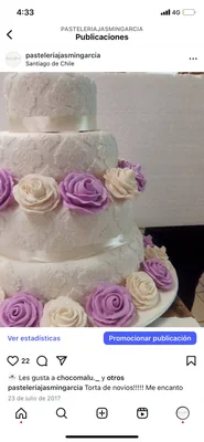Flor Yasmín García Meneses — Tortas en Región Metropolitana — Imagen 1