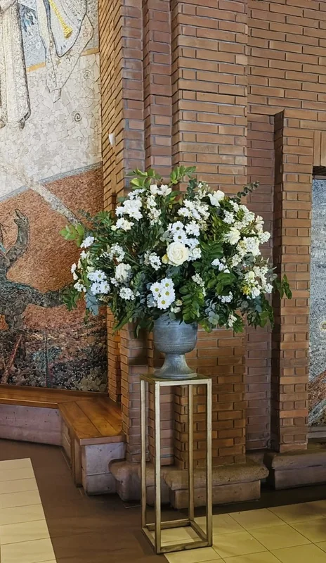 Divina Magnolia