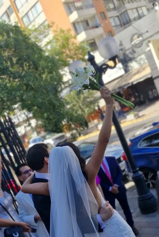 Divina Magnolia