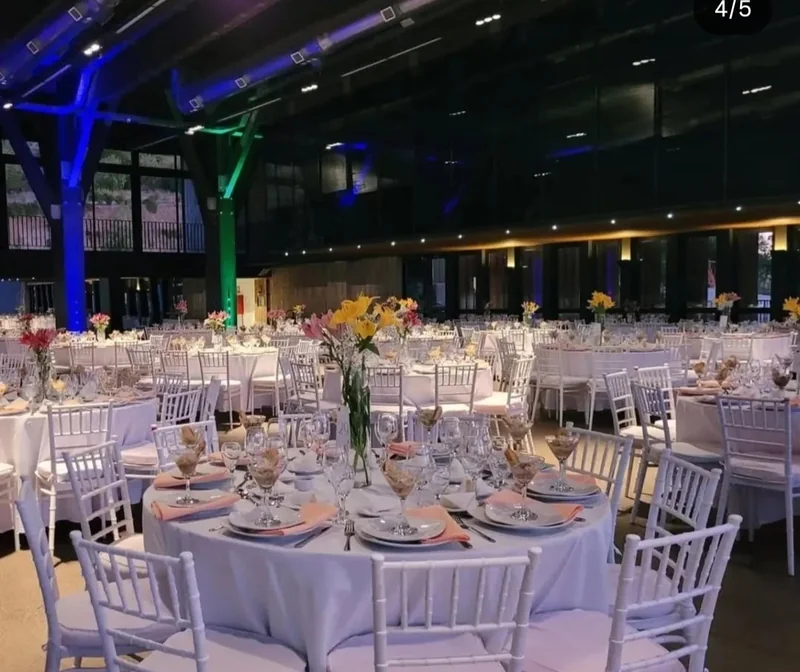 Eventos premium arriendo de vajilla Baccelliere