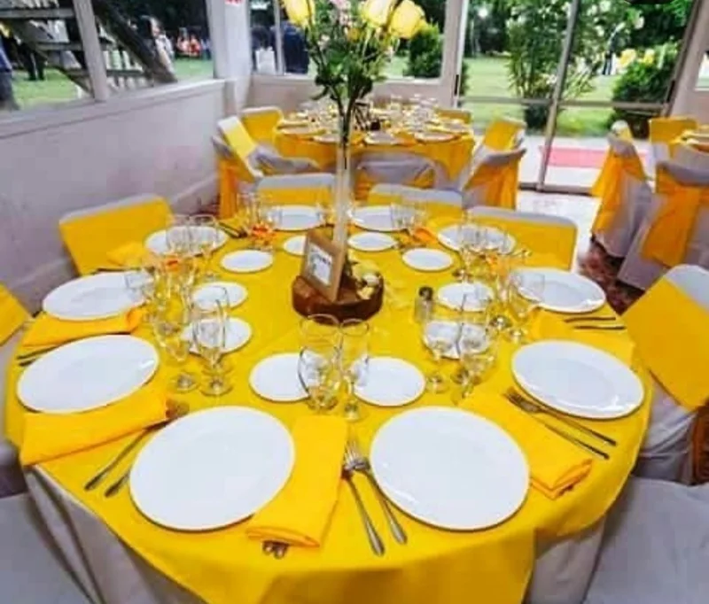 Eventos premium arriendo de vajilla Baccelliere