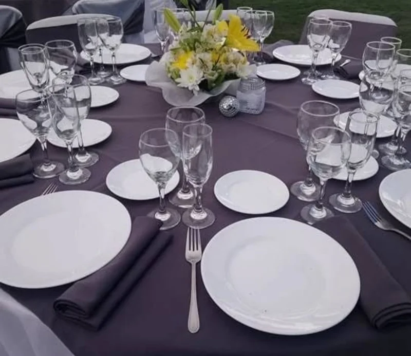 Eventos premium arriendo de vajilla Baccelliere