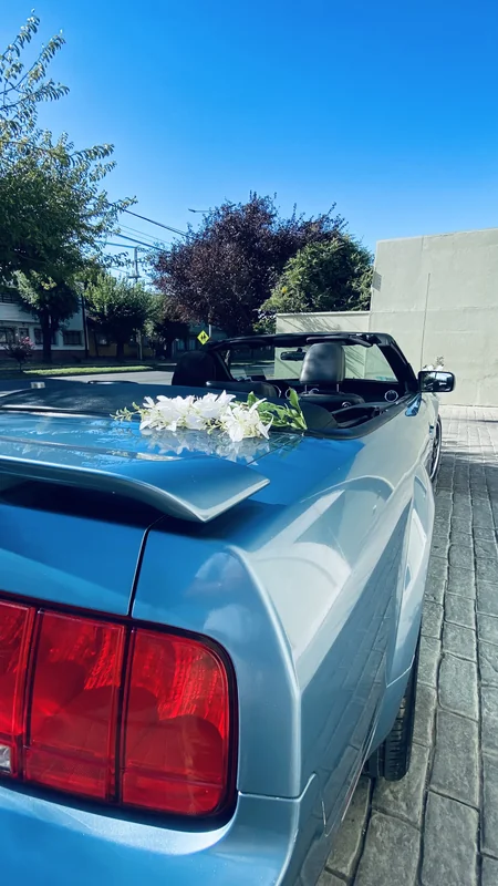 Mustang Matrimonios