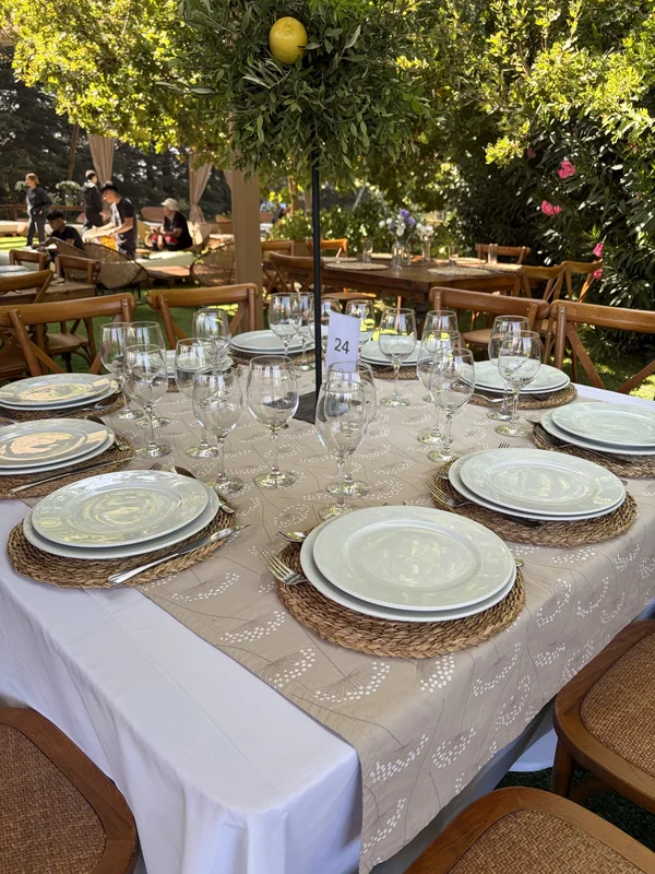 Borega Rental