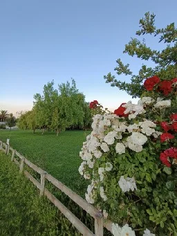 Centro de Eventos El Alfalfal